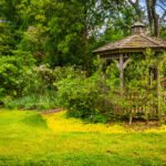 gazebo-cylburn-arboretum-baltimore-maryland-48420360